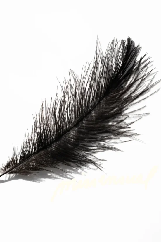 Peříčko na dráždění